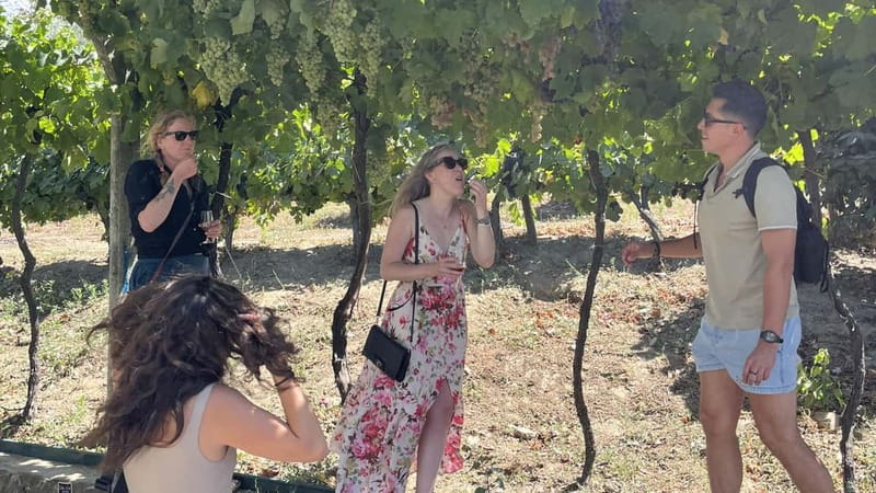 From Porto: Tastings at 2 Wineries, Chef's Lunch & Boat Tour - Two family wineries and 11 tastings: how to get the most out of it