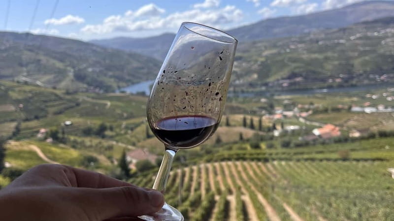 From Porto: Tastings at 2 Wineries, Chef's Lunch & Boat Tour - Farm-to-table lunch in the Douro Valley, paired with DOC wines and Port