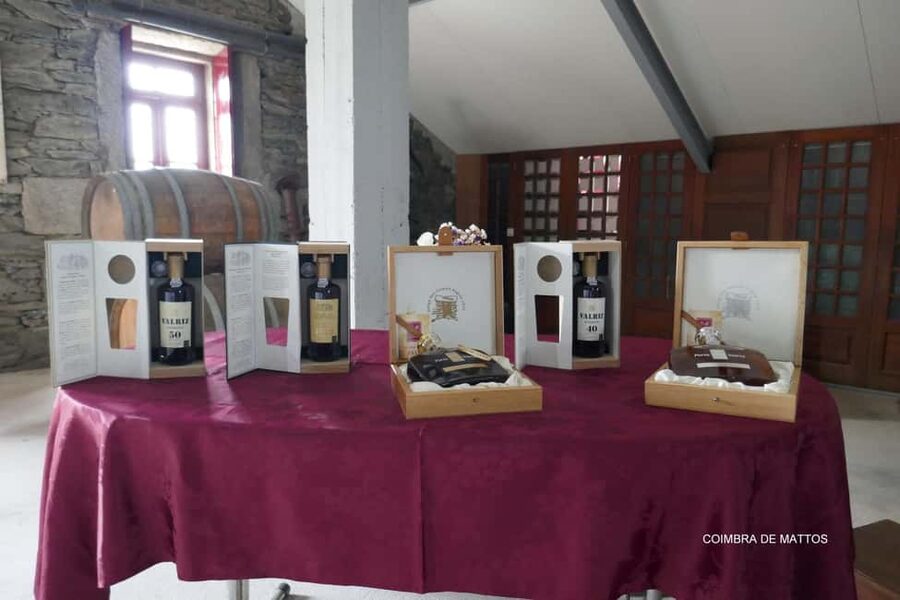 From Porto: Wine Tasting with Lunch at a Quinta, Cruise, and Train Ride - From Gaia to the Douro: the van ride that sets your day up