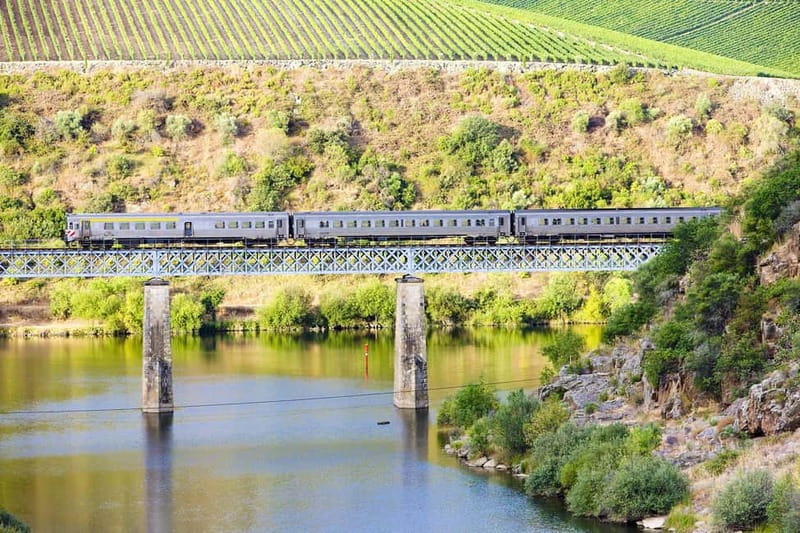 From Porto: Wine Tasting with Lunch at a Quinta, Cruise, and Train Ride - Back to Porto by train on the Miradouro line