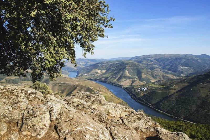 From Porto: Wine Tasting with Lunch at a Quinta, Cruise, and Train Ride - Small details that make your day easier