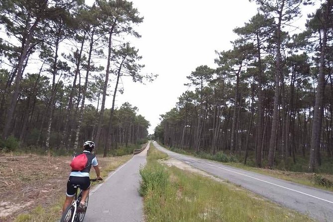 From Porto with view to Gaia: Private Bike Tour #DuckSideOfPorto - The bicycle and included drinks that make the ride feel easy