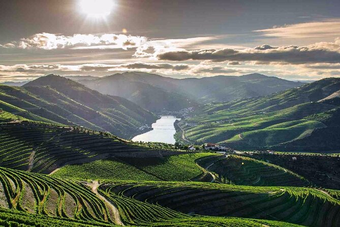 Full day Tour to Douro Valley from Porto - Peso da Régua: Where Port Wine Is the Main Language