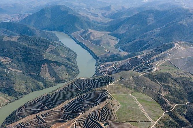 Full Day, Wine Tasting, River Cruise and Lunch from Porto - The comfort factor: riding from Porto to the Douro