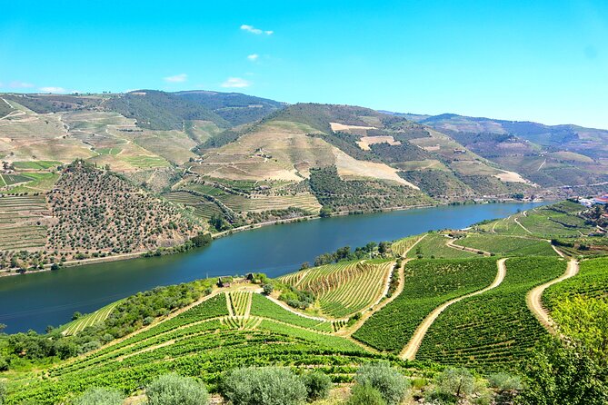 Genuine Douro Valley Tour: Visit 2 Wineries, Lunch & River Cruise - Quinta do Tedo: the first winery stop and how to pace your tasting