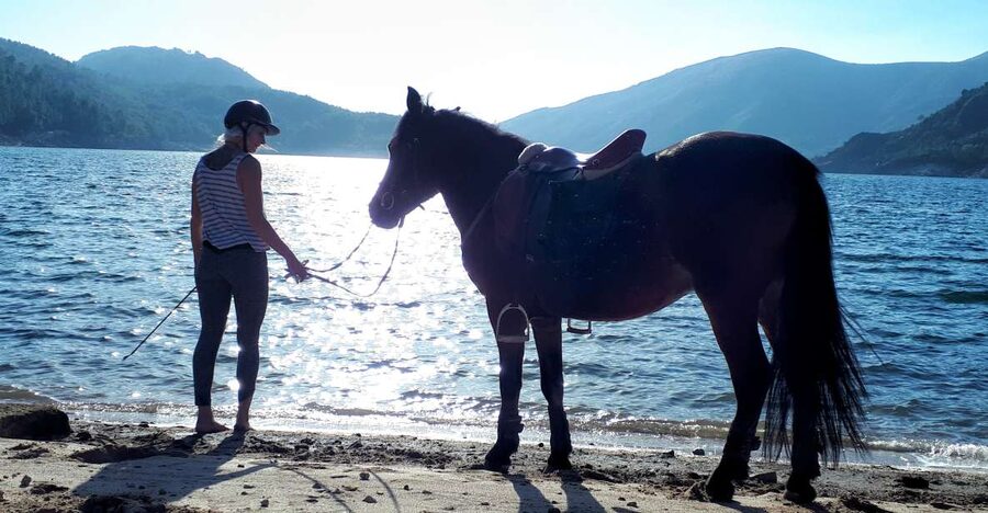Gerês Braga: Horseback Ride in Peneda Gerês National Park - Key things to know before you ride