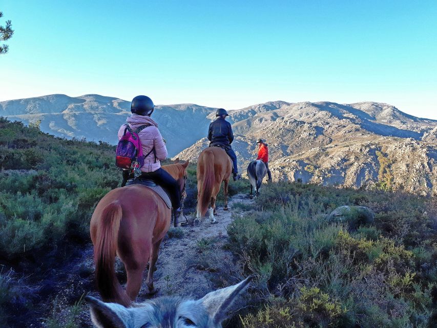 Gerês Braga: Horseback Ride in Peneda Gerês National Park - Horseback at Peneda-Gerês: why this 2-hour ride feels special