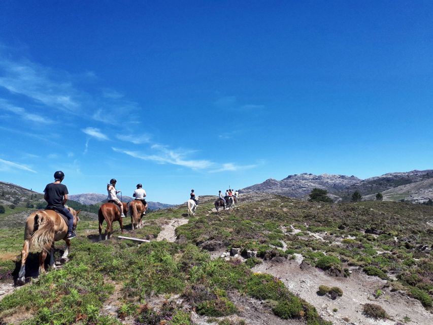 Gerês Braga: Horseback Ride in Peneda Gerês National Park - How much riding skill you actually need