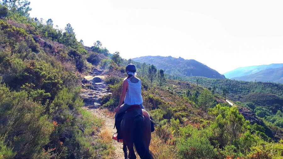 Gerês Braga: Horseback Ride in Peneda Gerês National Park - Who should book this ride, and who should skip it