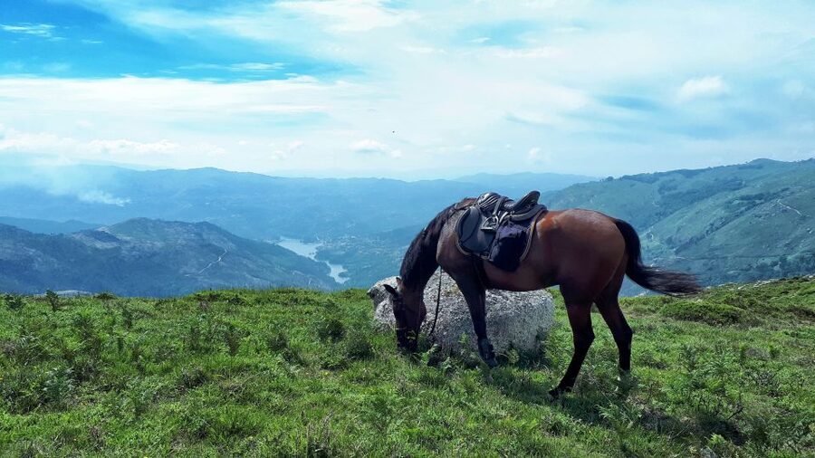 Gerês Braga: Horseback Ride in Peneda Gerês National Park - Meet your horse and guide at Campo do Gerês (Terras de Bouro)
