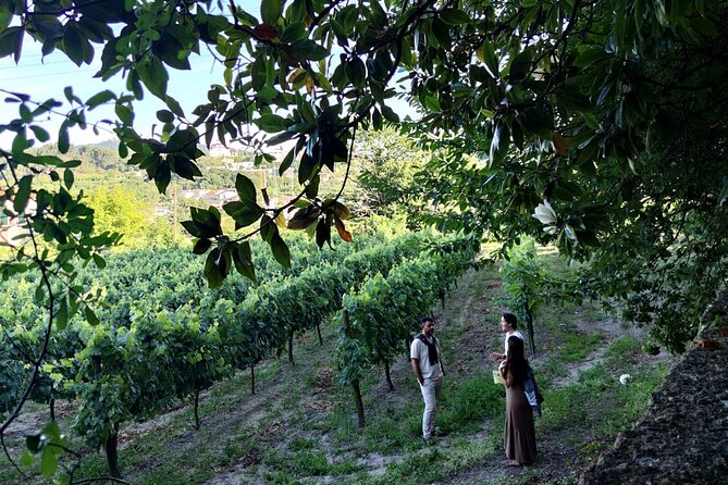 Guimarães & Braga Port Private Tour with Lunch and Green Wine - Bom Jesus do Monte: Funicular Ride and Religious Sites