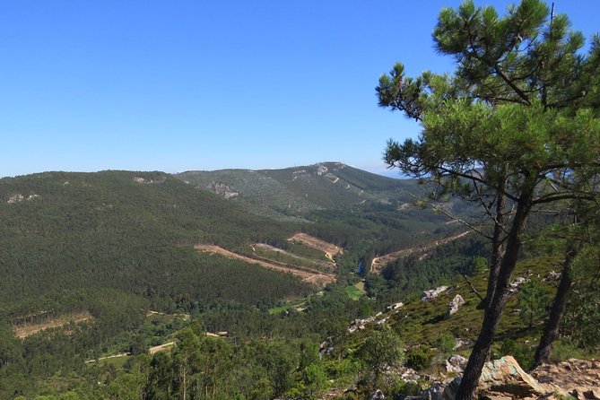 Half-day Hike & Picnic with Dog Love in Porto's Mountains - Sao Bento Station: the quick start that puts you in the right mood