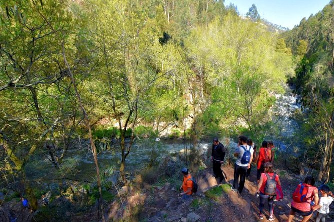 Half-day Hike & Picnic with Dog Love in Porto's Mountains - How the timing works for a 4-hour day