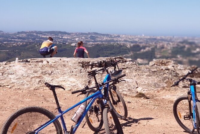 Half day Mountain Bike Tour in Porto - Key highlights you’ll care about