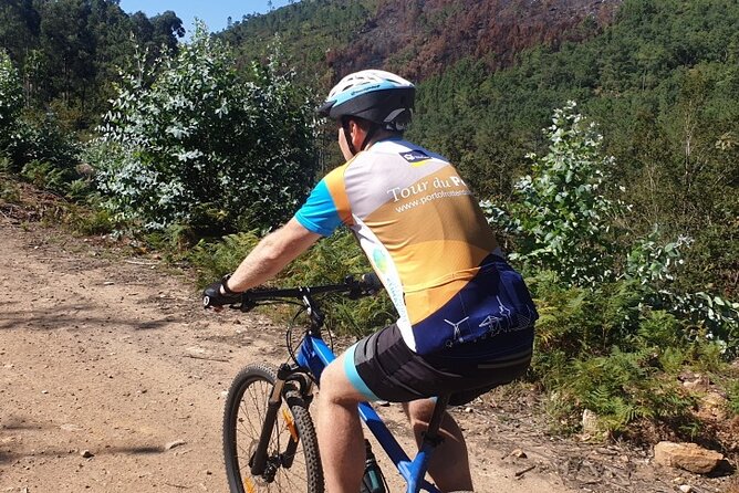 Half day Mountain Bike Tour in Porto - Entering Valongo: Why these trails feel like a real break