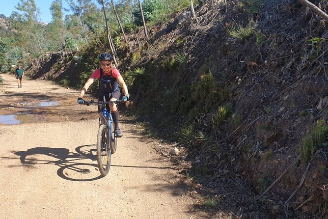Half day Mountain Bike Tour in Porto - Price and value: is $173.64 worth it?