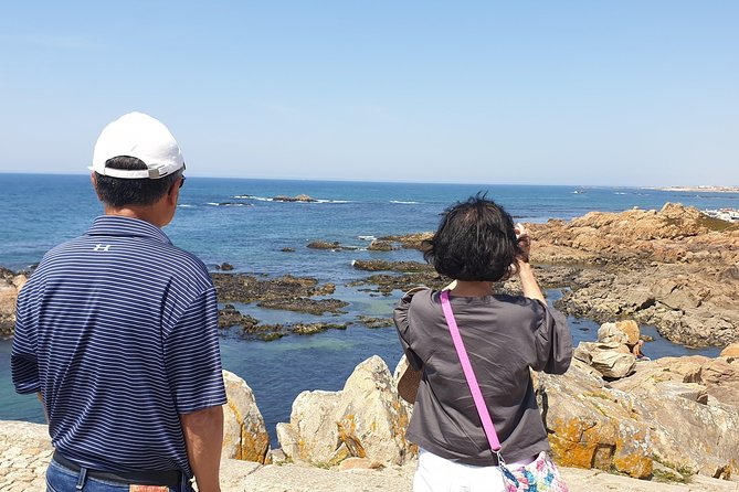 Half Day Porto & Beach Side Small-Group Tour- Different Tastings - Clérigos Tower and the quick photo rhythm