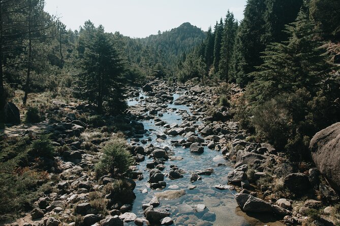Hidden Gems of Peneda-Gerês National Park on a Full-Day Tour - Who this tour is best for, and who should skip it