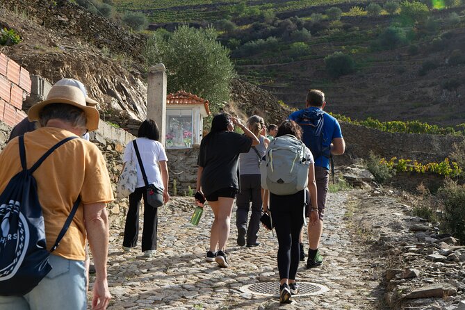 HIKING in the Douro Valley - From Porto at 8:00 am, to Sabrosa’s coffee stop