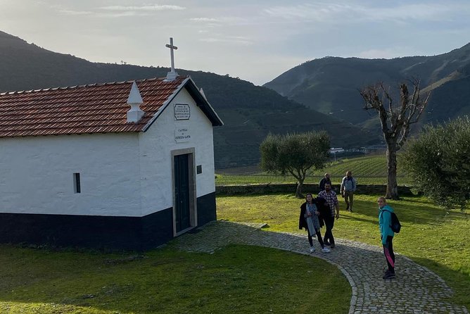 HIKING in the Douro Valley - The N222 road back to Porto is not just driving