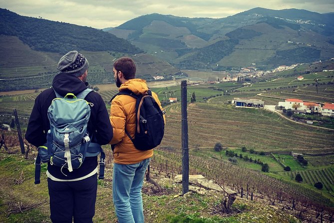 HIKING in the Douro Valley - Guides make the difference: Juoan, André, and Adriano