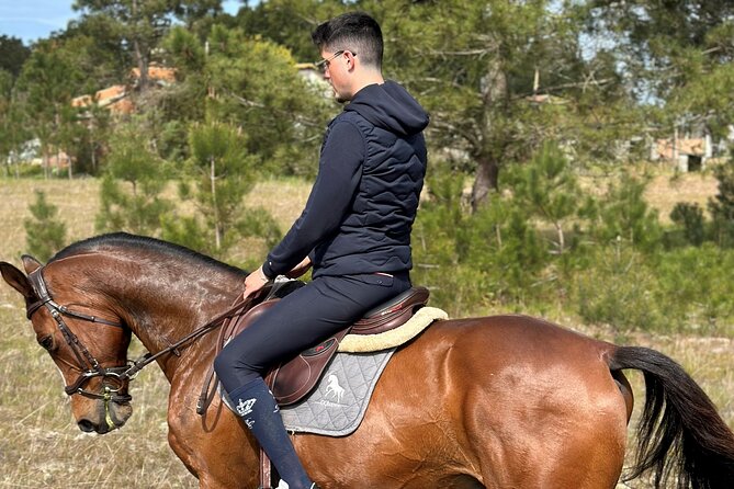 Horse Riding in the Countryside - Key highlights I’d plan around