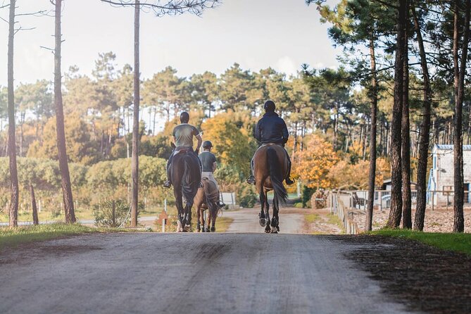 Horse Riding in the Countryside - The 6 km ride through rural country dating from around 1700