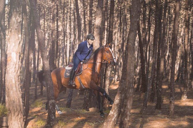 Horse Riding in the Countryside - Who should book this horse ride near Porto