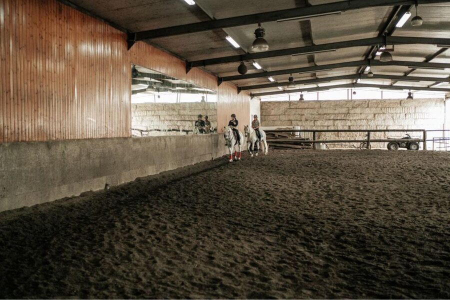 Horseback Riding Tour - Why Viana do Castelo Makes This Ride Feel Worth It