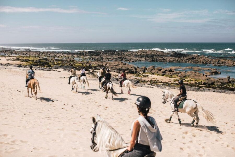 Horseback Riding Tour - Should You Book PortugalActive’s Horseback Riding Tour?