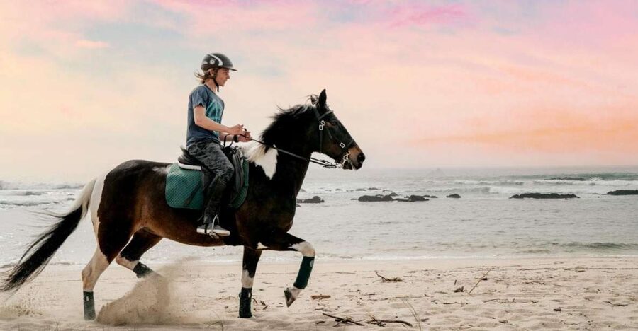 Horseback Riding Tour - On the Ride: Flower Fields, Trail Stretching, and Coastal Views