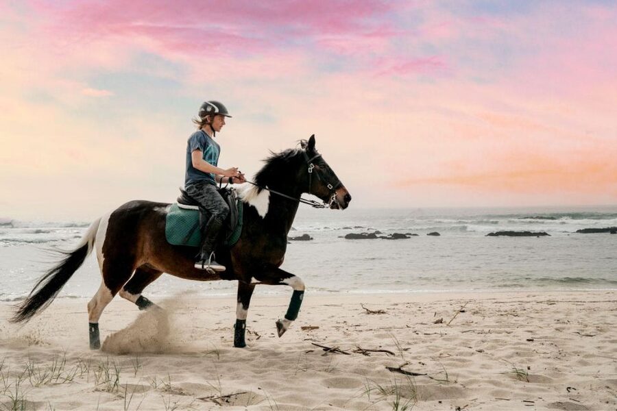 Horseback Riding Tour - Timing, Small Group Pace, and a Reality Check on Duration