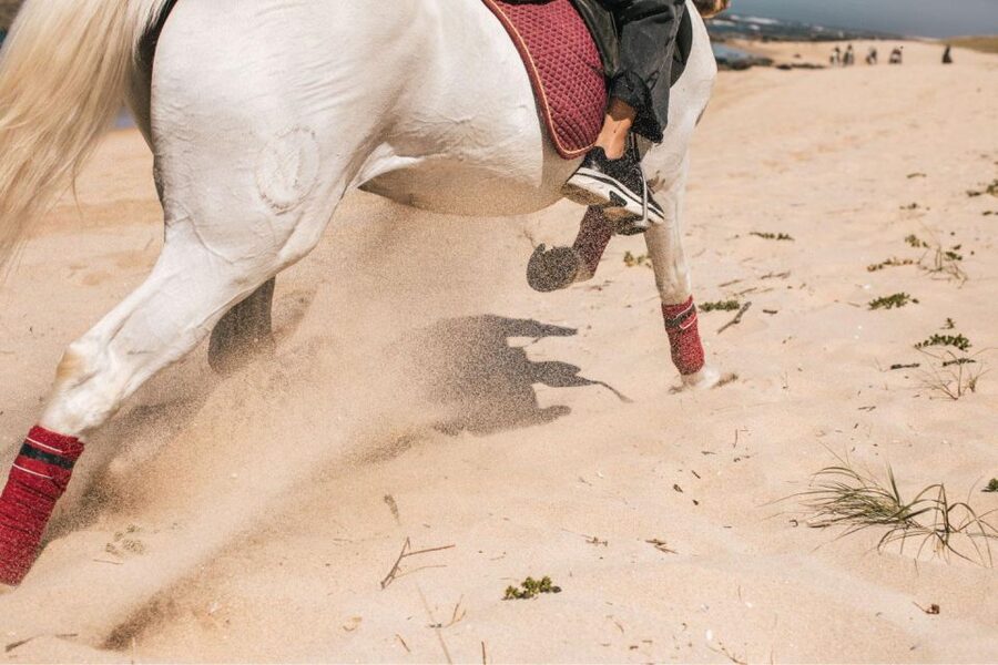 Horseback Riding Tour - What to Wear and Bring (So You Do Not Feel Miserable)