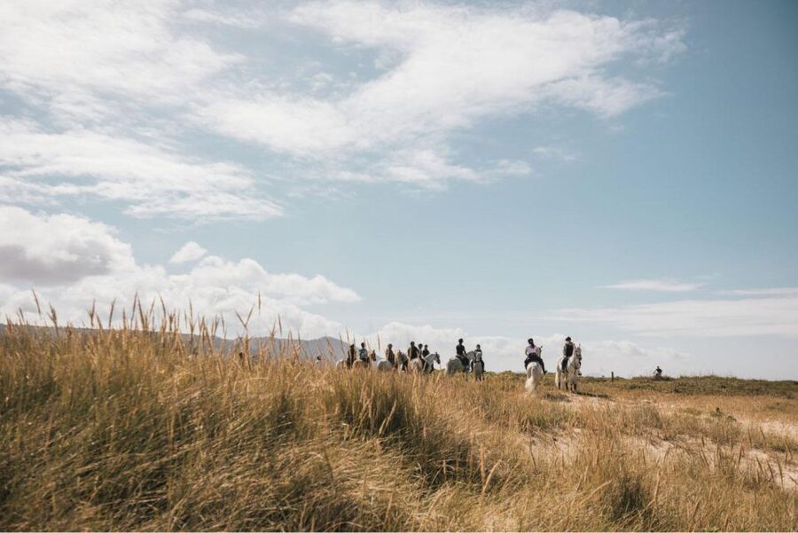 Horseback Riding Tour - Who This Is For, and Who Should Skip It