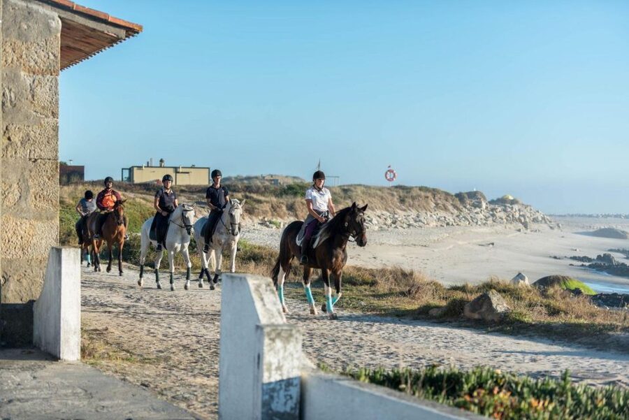 Horseback Riding Tour - Instructor Languages and the Coaching Style You’ll Feel