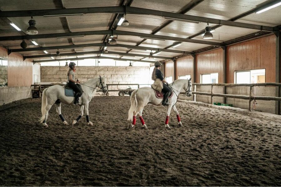 Horseback Riding Tour - Getting on Your Horse and Learning Control (Even If You’re New)