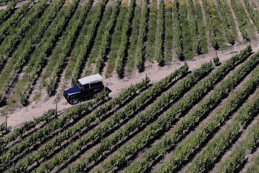 Lamego: Quinta da Portela de Baixo Winery Tour and Tasting - Quick hits on this Lamego winery visit