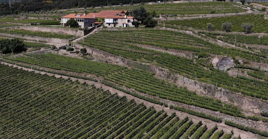 Lamego: Quinta da Portela de Baixo Winery Tour and Tasting - Price and timing: is $35 a good deal?
