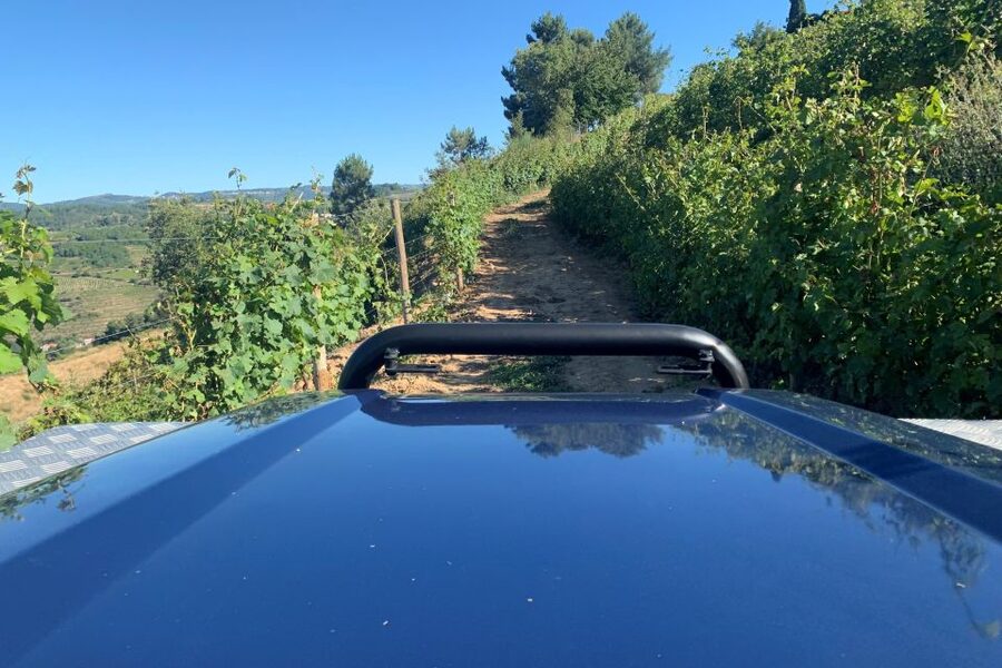 Lamego: Quinta da Portela de Baixo Winery Tour and Tasting - Book or skip: my honest recommendation
