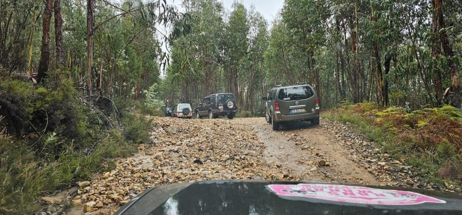 Living 4x4 Oporto Montains - The picnic and small lunch: small local food, not just a snack