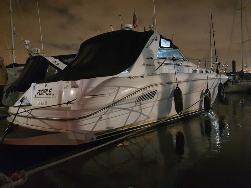 Luxury Douro Yacht Tour: Scenic Views & Complimentary Drinks - Included Port Wine Drink and Light Snacks: What to Expect Onboard