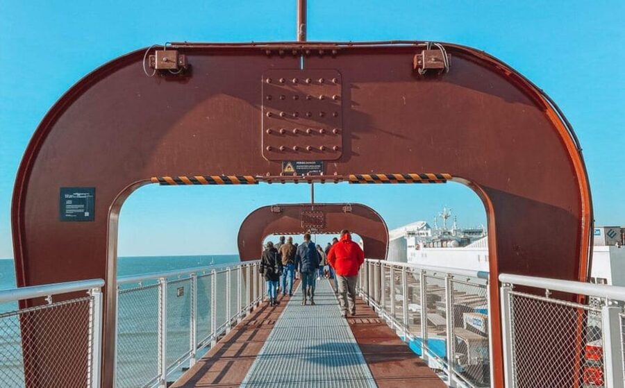 Matosinhos (Porto): “From the Sea to your Plate” Food Tour - Pinhais Cannery & Co.: the tinned fish tasting that changes how you shop