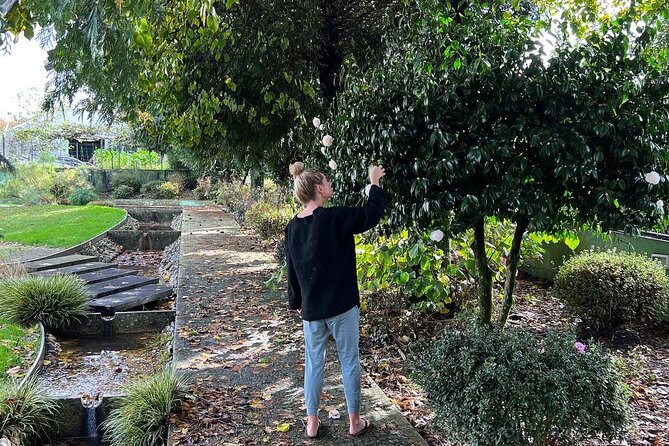 Meditation Experience at a Lovely Farm in Porto - Porto-area farm setting, not a studio