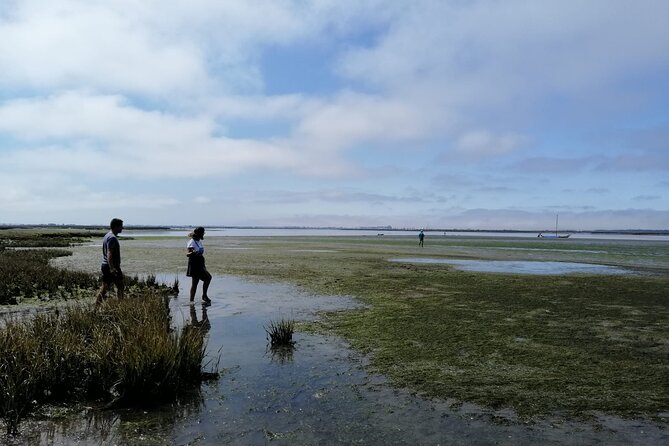 Moliceiro boat tour through the Ria de Aveiro! - The Guided Storytelling: Veronica and Manuel’s Approach