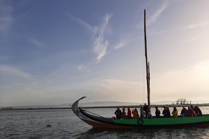 Moliceiro boat tour through the Ria de Aveiro! - Wildlife Moments You Can Actually Plan For