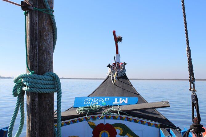 Moliceiro boat trip, with experience in bivalves harvesting - Bivalves Collecting Stop: What You Learn and What You’ll Do