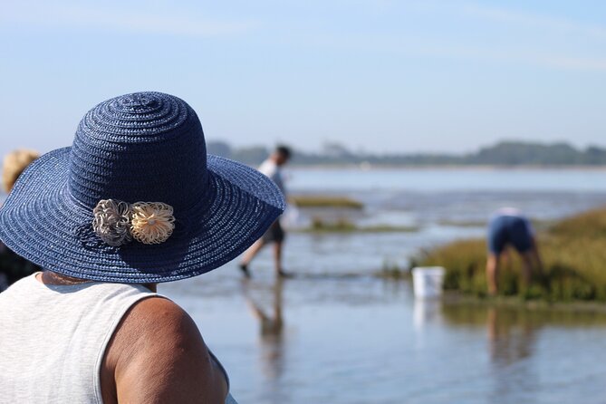 Moliceiro boat trip, with experience in bivalves harvesting - Price and Value for $21.88: What You Get for the Money