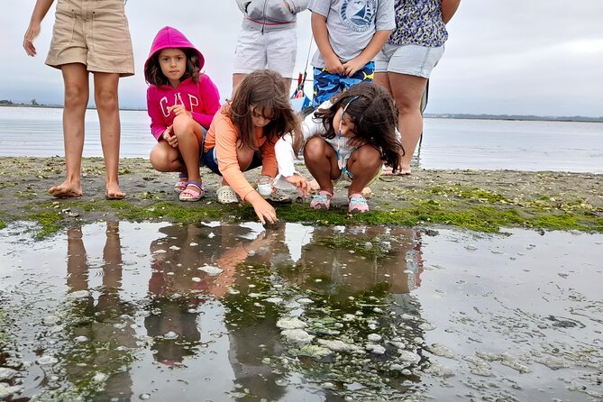 Moliceiro boat trip, with experience in bivalves harvesting - What to Expect On the Water (And What to Wear)