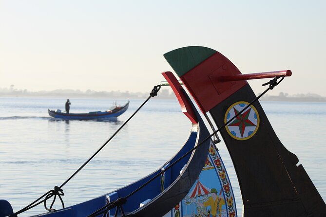 Moliceiro boat trip, with experience in bivalves harvesting - Who This Moliceiro and Bivalves Experience Is Best For