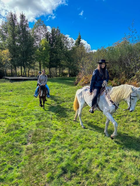 Mountain Horseback Ride & Lunch - Mounting up in the Douro: the 2-hour ride that sets the mood